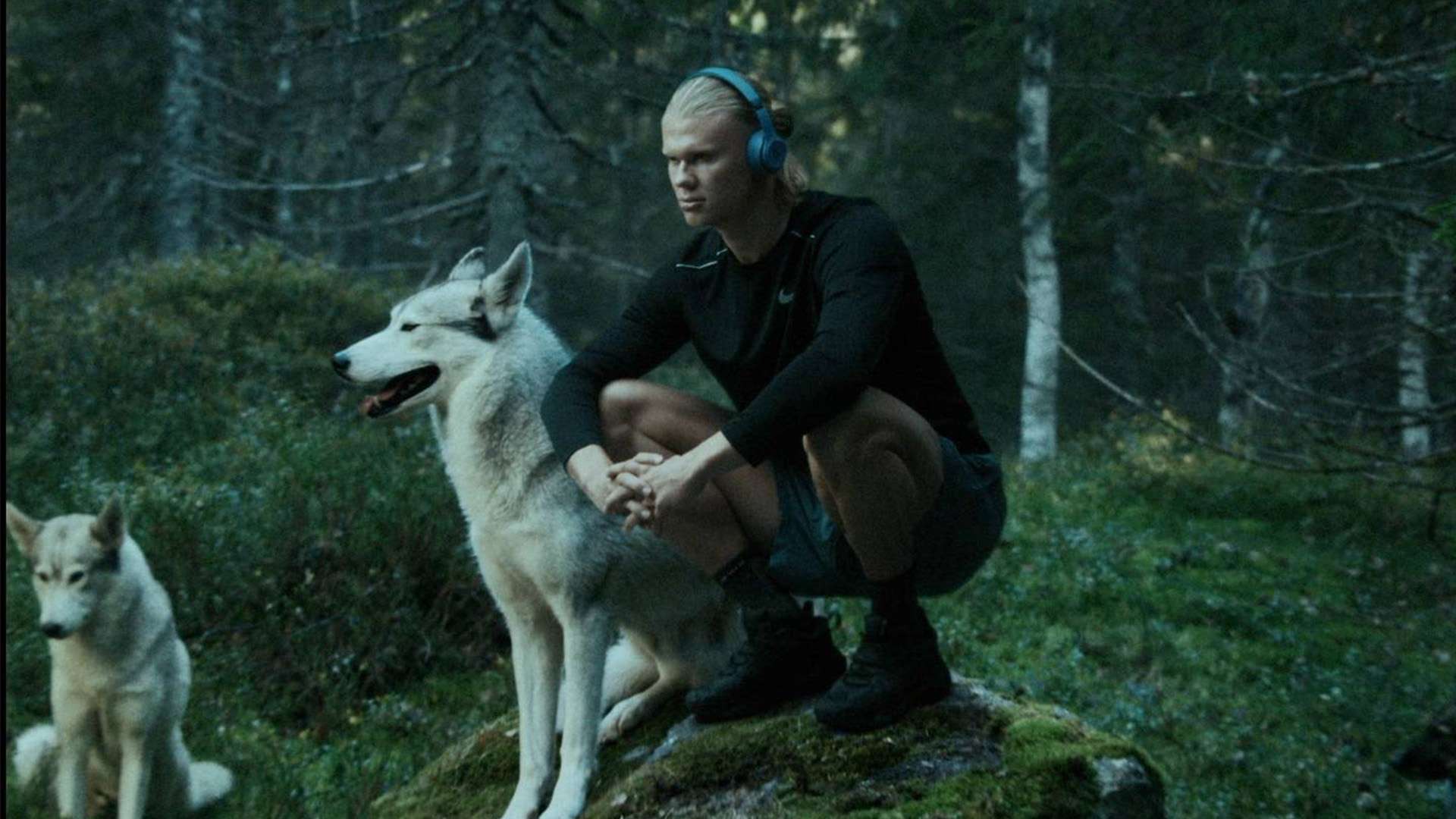 的状态也不 的状态也不