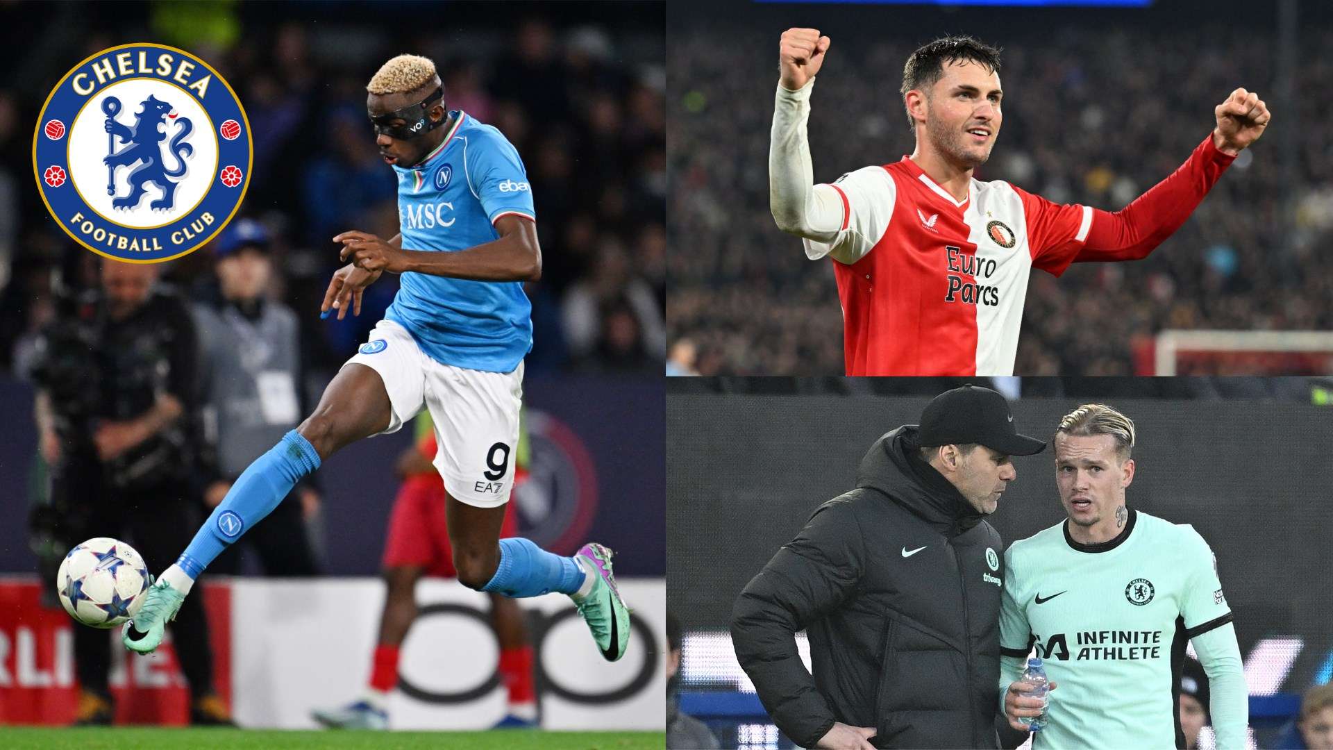 实力强劲的 实力强劲的